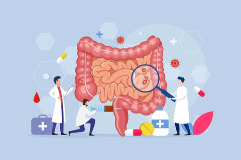 Déficit. Intestin grêle. Syndrome de l’intestin irritable